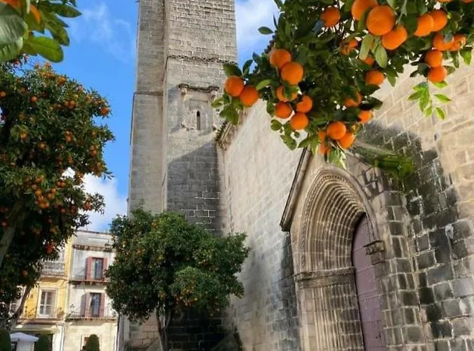 Apartment Sherryflat Herraiz-parking Jerez de la Frontera